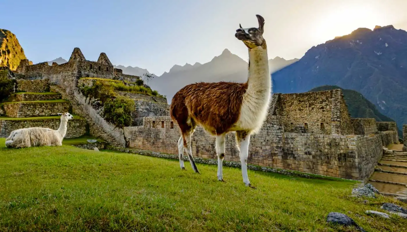 Craft Your Perfect Machu Picchu Experience
